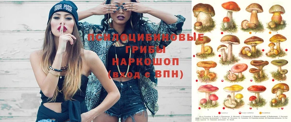 кристаллы Нея